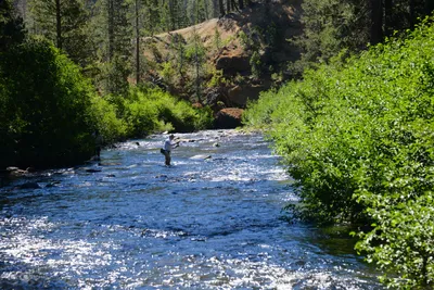 DSC_9904 (Large).JPG